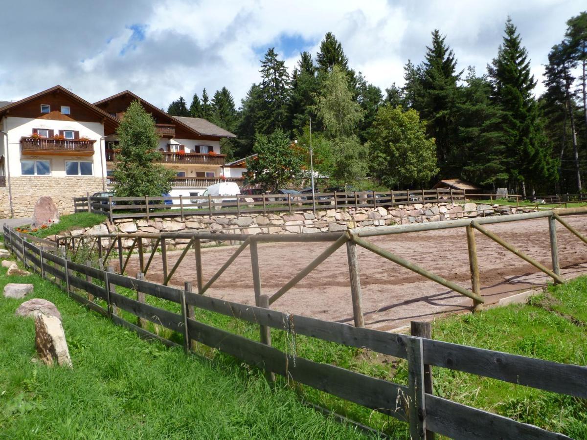 Reiterhof Edelweiss Hotel San Genesio Atesino Exterior photo
